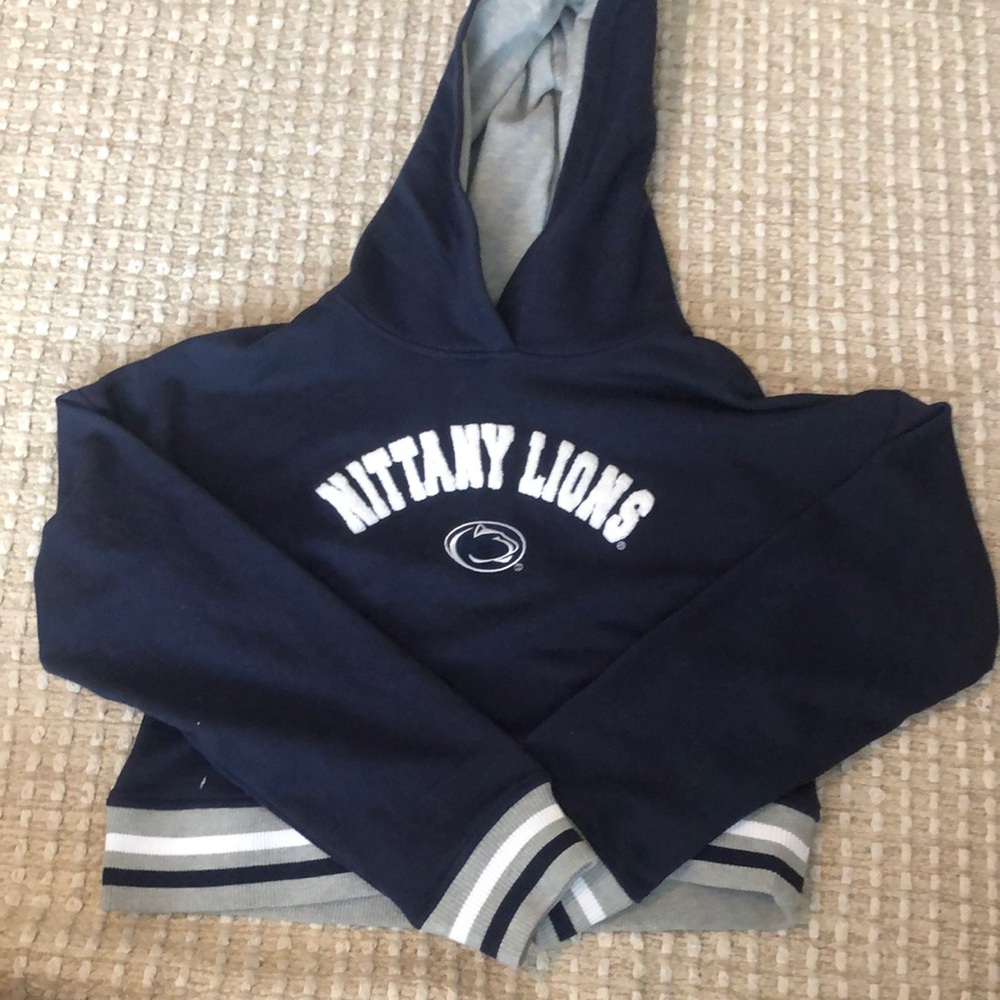 PSU cropped hoodie